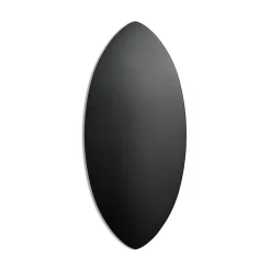 Skimboard in Black/white